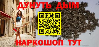 прущие грибы Гатчина