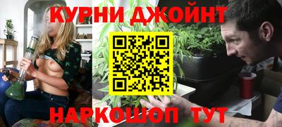 прущие грибы Гатчина