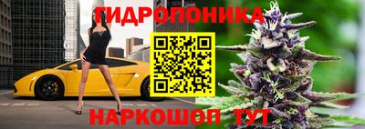 прущие грибы Гатчина