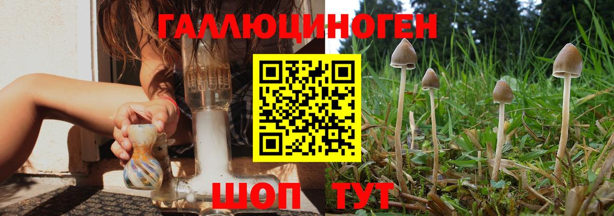 Псилоцибиновые грибы Psilocybe  Вход с VPN  Нефтеюганск 