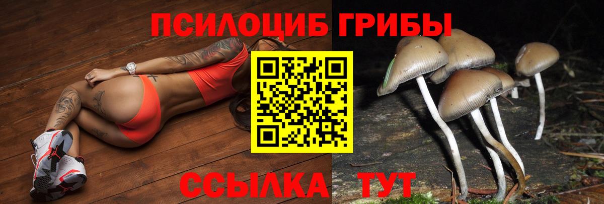 Псилоцибиновые грибы GOLDEN TEACHER Нефтеюганск