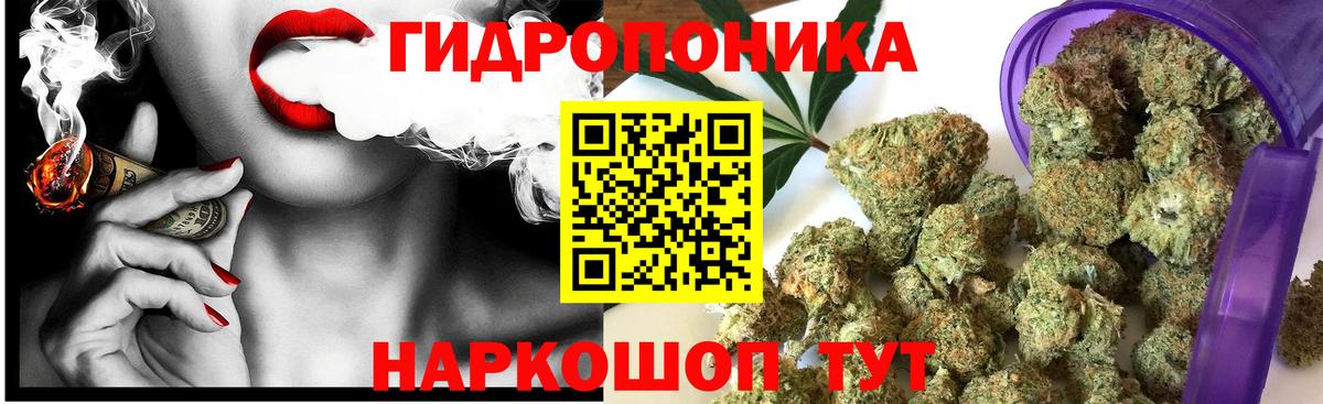 Конопля гибрид Нефтеюганск